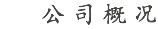 公司概况